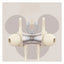 Disney QS-Q5 Bluetooth Wireless Sport headphones - Winne Beige Accessories > Audio > Headphones