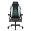 DXRacer Craft Pro Immortals Gaming Chair - Black/White Accessories > Chairs > Gaming Zone > Offer Zone