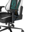 DXRacer Craft Pro Immortals Gaming Chair - Black/White Accessories > Chairs > Gaming Zone > Offer Zone