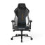 DXRacer Craft Pro Stripes 1 Gaming Chair - Black/White Accessories > Chairs > Gaming Zone > Offer Zone