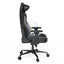 DXRacer Craft Pro Stripes 1 Gaming Chair - Black/White Accessories > Chairs > Gaming Zone > Offer Zone