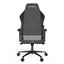 DXRacer Craft Pro Stripes 1 Gaming Chair - Black/White Accessories > Chairs > Gaming Zone > Offer Zone