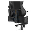 DXRacer Craft Pro XL Classic Gaming Chair - Black Accessories > Chairs > Gaming Zone