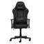 DXRacer Prince Series Gaming Chair - Black Accessories > Chairs > Gaming Zone > Offer Zone