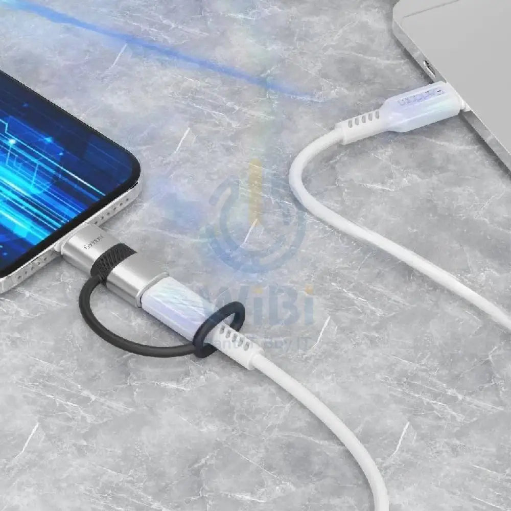 Earldom OT90L Type-C to Lightning OTG Adapter - Silver Accessories > Cables & Converters