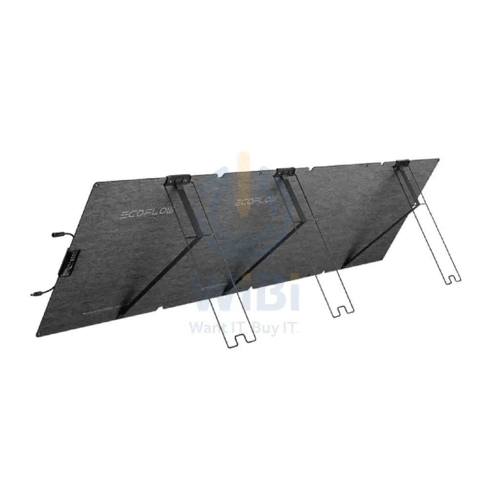 EcoFlow 220W Portable Solar Panel Accessories > Solar Panel