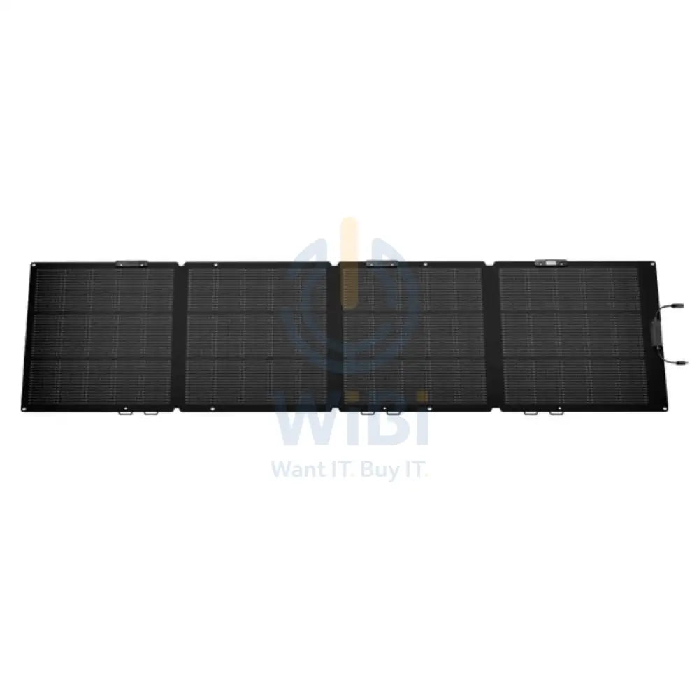 EcoFlow 220W Portable Solar Panel Accessories > Solar Panel