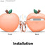 Elago AirPods 3 Peach Case - Peach Accessories > Mobiles & Tablets > Tablets
