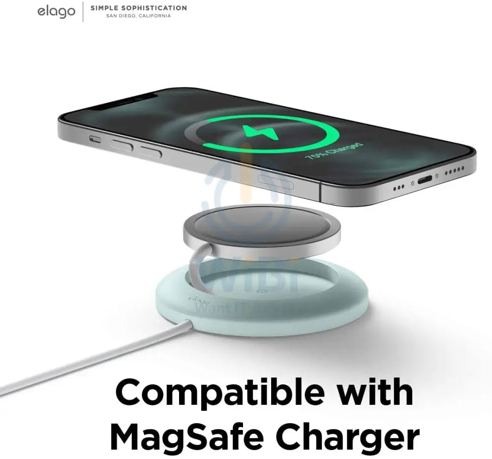 Elago Magsafe Charging Pad - Mint Accessories > Power Adapters