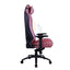 GameOn Licensed Gaming Chair With Adjustable 4D Armrest & Metal Base - Harly Quinn Accessories > Chairs > Gaming Zone >