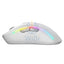Glorious Model D2 Wireless RGB Gaming Mouse - Matte White Accessories > Keyboard & Mouse > Gaming Zone
