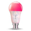 Govee Smart Wi-Fi & Bluetooth Light Bulb - 800 Lumens Accessories > Other Accessories