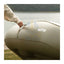 HOTO Self-Inflating Sofa - Green Accessories > Smart Devices