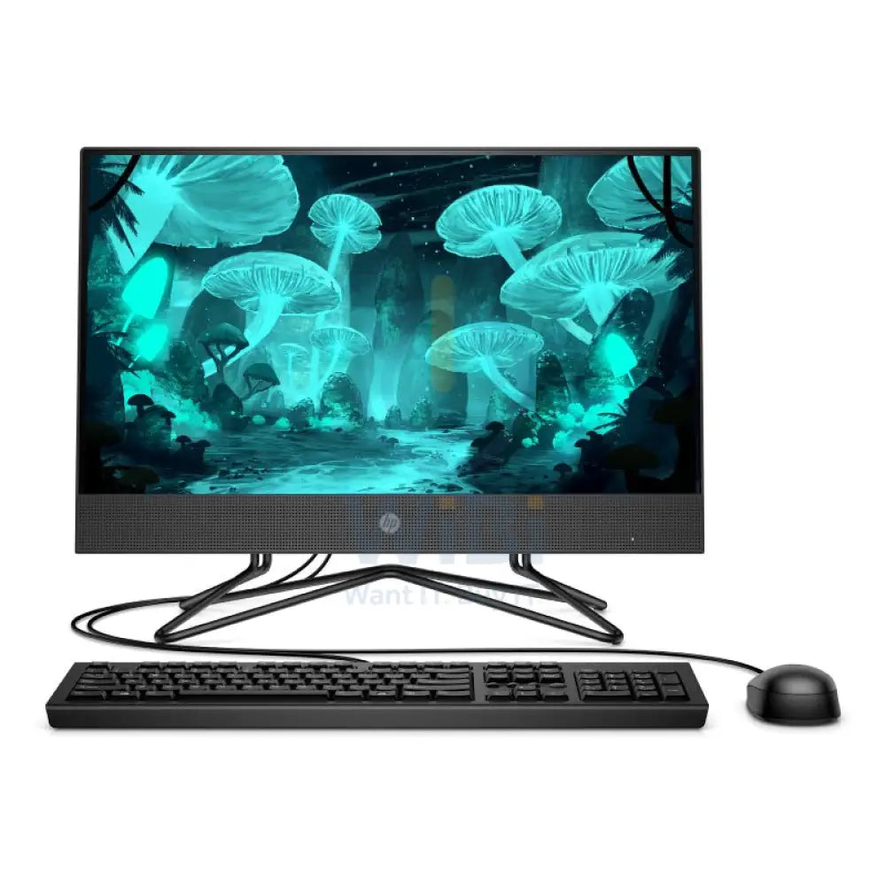 HP 200 G4 AIO PC - i3 / 4GB / 500GB (NVMe M.2 SSD) / 21.5’’ FHD Non-Touch / DOS (Without OS) / 1YW / Black - Desktop