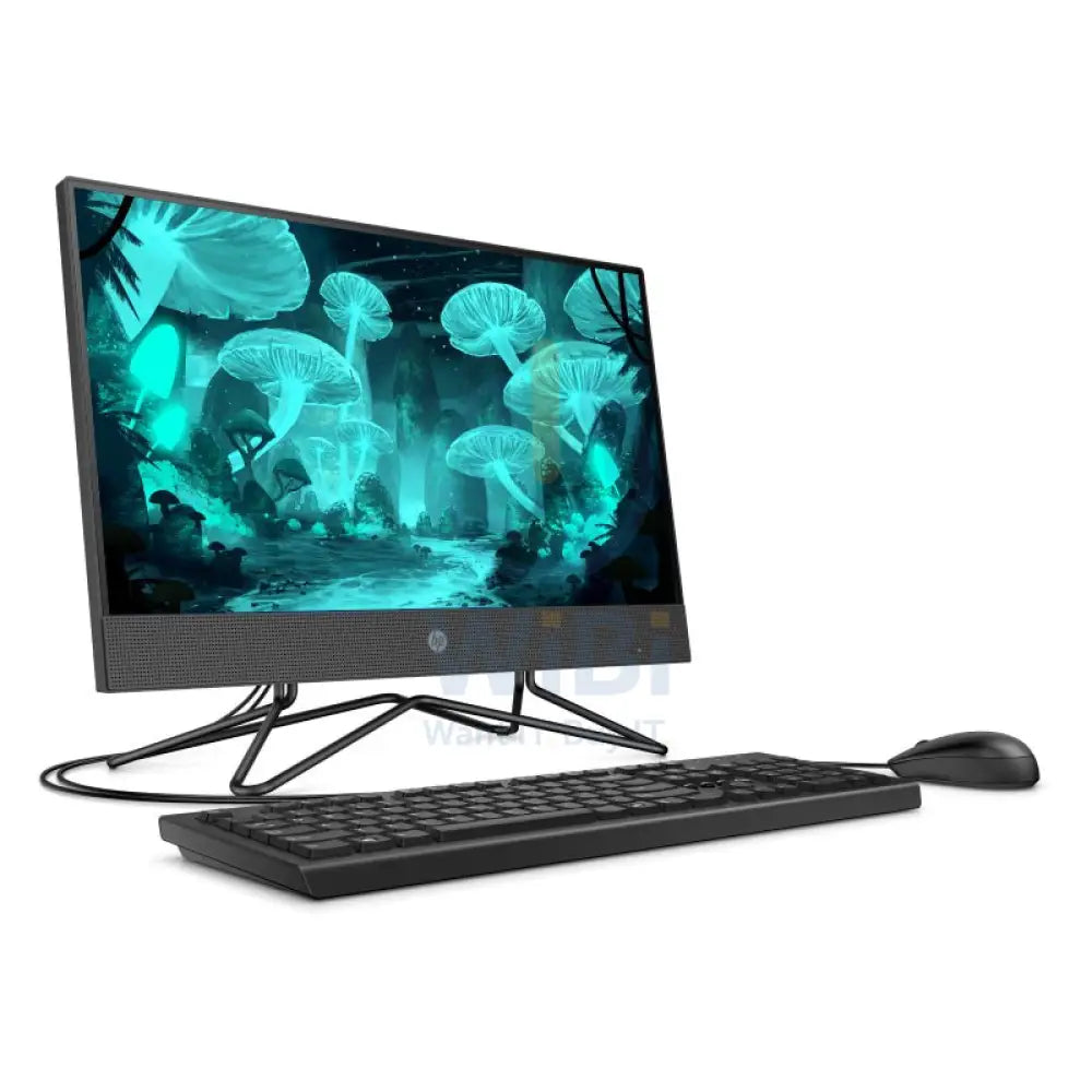 HP 200 G4 AIO PC - i3 / 4GB / 500GB (NVMe M.2 SSD) / 21.5’’ FHD Non-Touch / DOS (Without OS) / 1YW / Black - Desktop