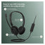 Jabra Evolve 10 Stereo Headphone - Wired / USB-A / Black
