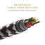 Native Union Belt Cable Type C-C 1.2M - Zebra