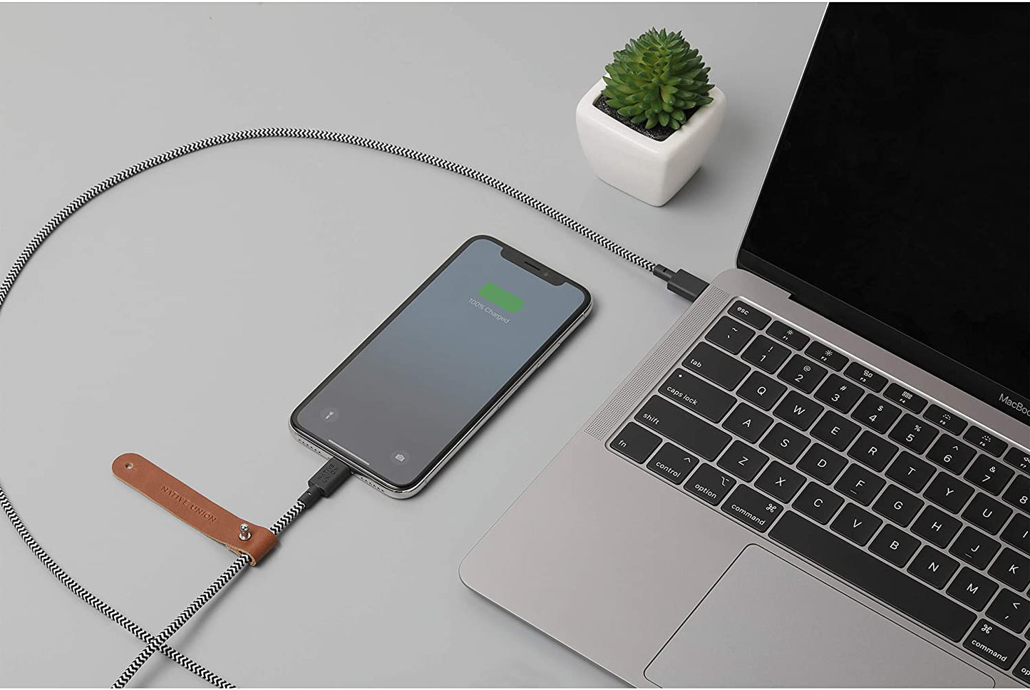Native Union Belt Cable - USB A / Lightning / 1.2 Meter / Zebra