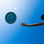 Waboba BigWing Flying Disc (assorted styles)