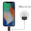 Native Union Belt Cable - Usb A To Lightning 1.2M - Cosmo Black