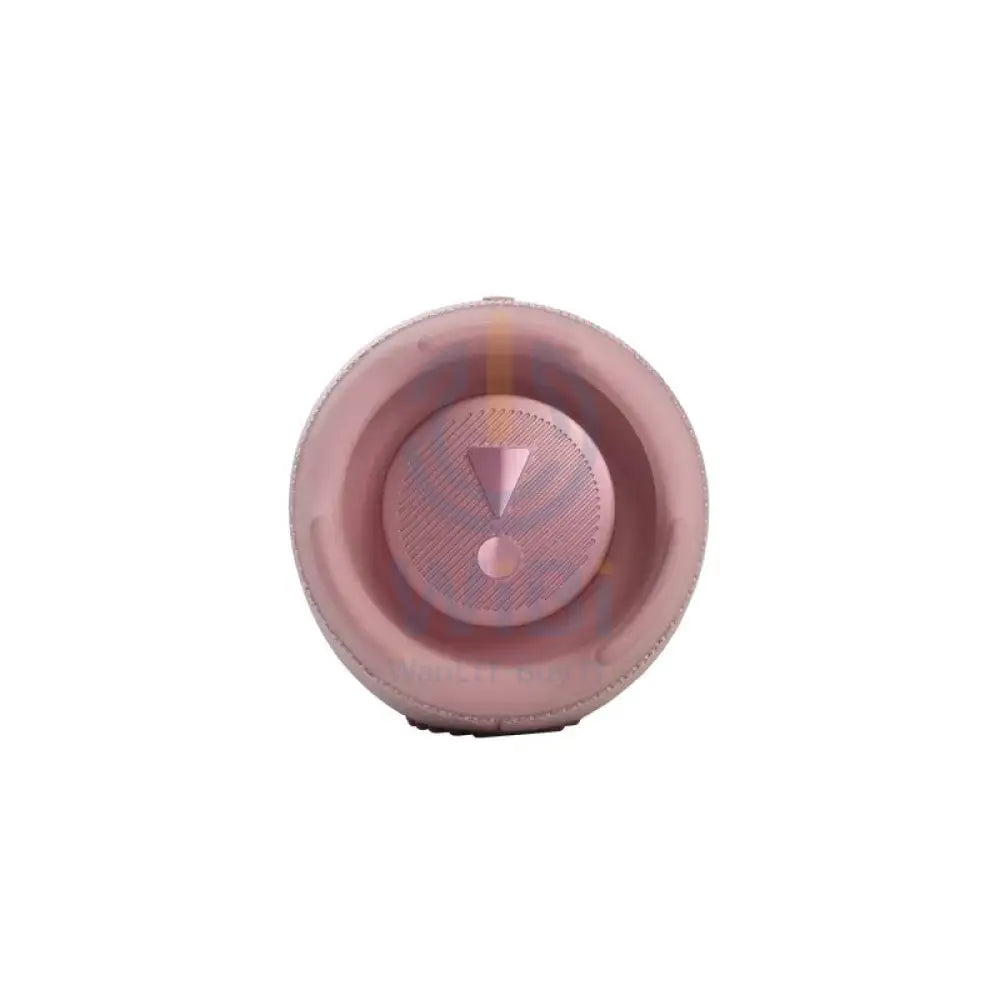 JBL Portable Bluetooth Speaker Charge 5 - Pink Accessories > Audio > Speakers