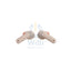 JBL Tune 230NC TWS Noise Cancelling Earbuds - In-Ear / Wireless / Sand Accessories > Audio > Headphones