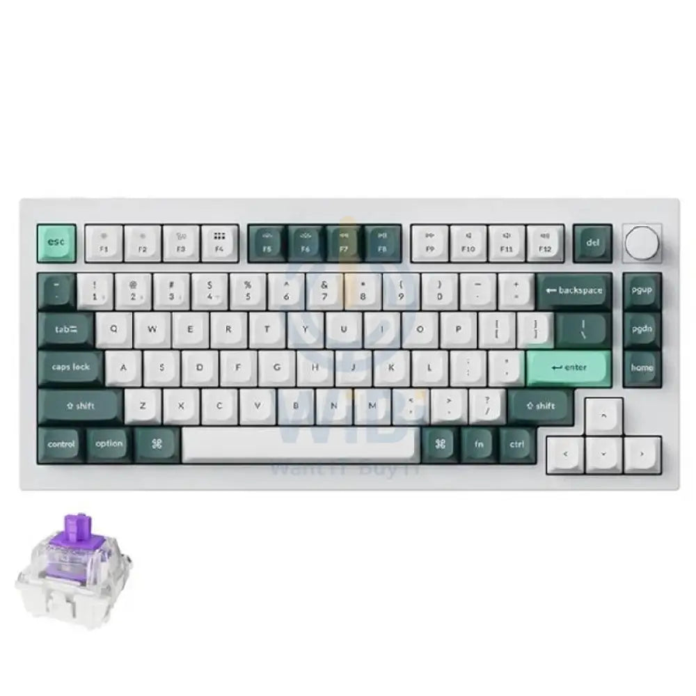 KeyChron Q1 HE Swappable 75% Mechanical Gaming Keyboard - Wireless / RGB / English/Arabic / Shell White Accessories >