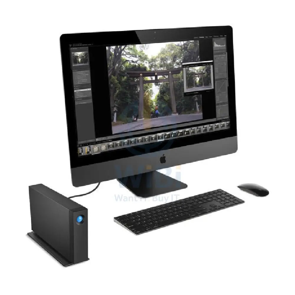 LaCie d2 Professional - 8TB / 240 MB/s / USB 3.2 Gen 2 / External Hard Drive Storage > USB Hard Drive