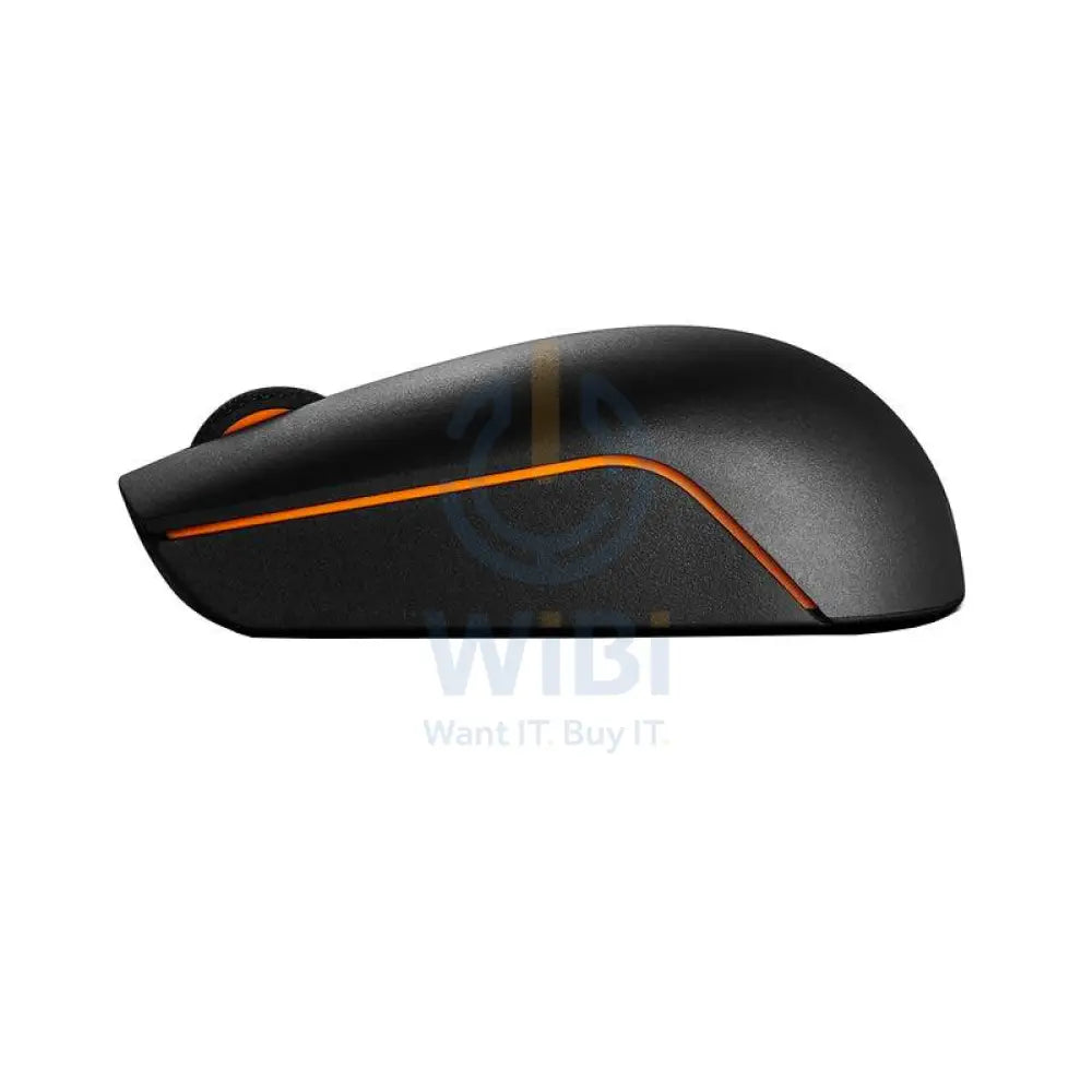 Lenovo 300 Wireless Compact Mouse - 2.40GHz / Black - Mouse