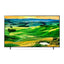 LG QNED80 Series 4K Smart TV - 75’’ QNED / 4K / 120Hz / USB / HDMI / Ethernet - Smart TV Accessories > Smart Devices >