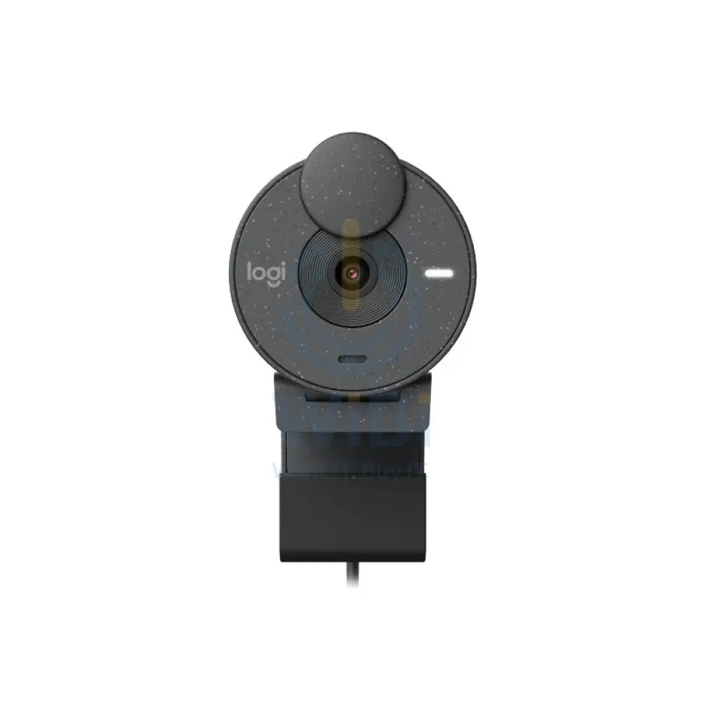 Logitech Brio 300 Full HD Webcam - 2MP / USB-C / wired / Graphite Cameras > Webcam
