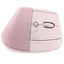 Logitech Lift Vertical Ergonomic Wireless & Blutooth Mouse - Rose Accessories > Keyboard & Mouse > Offer Zone