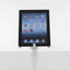 Mantis Secure Fixed Desk Stand - iPad / 360 degree / Grey (Without Box) Accessories > Mobiles & Tablets > Mobiles >