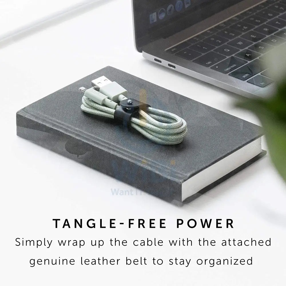 Native Union Belt Cable - USB A to Lightning 1.2M - Sage Accessories > Cables & Converters > Cables