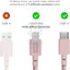 Native Union Belt Cable USB-C to Lightning 1.2M - Rose Accessories > Cables & Converters > Cables