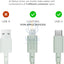 Native Union Belt Cable USB-C to Lightning 1.2M - Sage Accessories > Cables & Converters > Cables