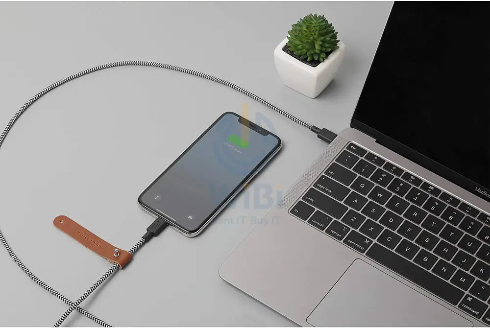 Native Union Belt Cable USB-C to Lightning 1.2M - Zebra Accessories > Cables & Converters > Cables