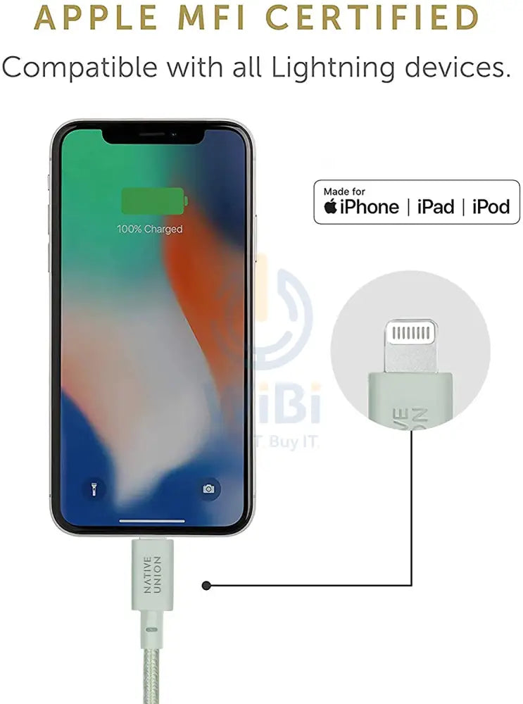 Native Union Belt Cable XL USB-C to Lightning 3M - Sage Accessories > Cables & Converters > Cables