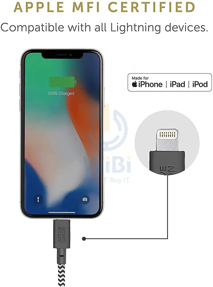 Native Union Belt Cable XL USB-C to Lightning 3M - Zebra Accessories > Cables & Converters > Cables