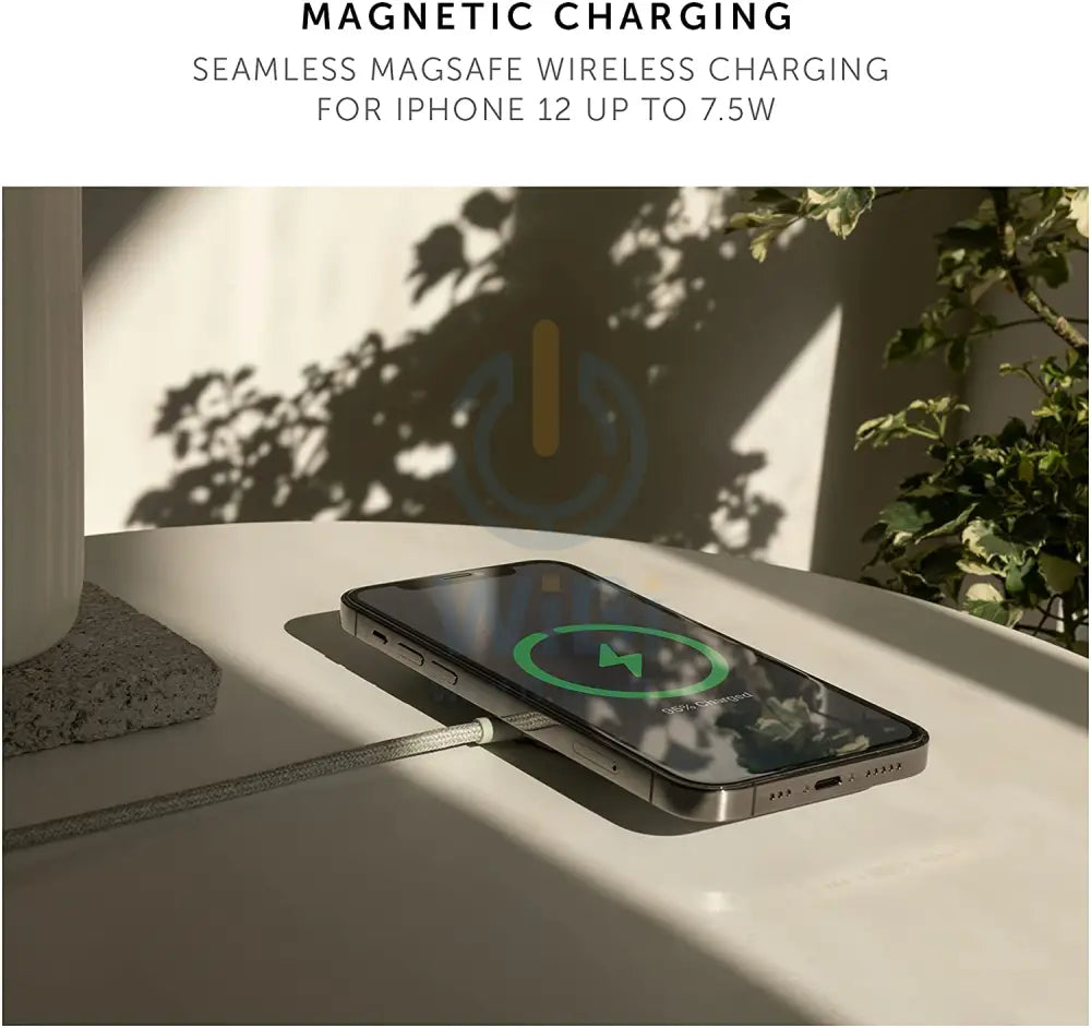 Native Union Snap Cable XL USB-C to Magnet - Cosmos Accessories > Cables & Converters > Cables
