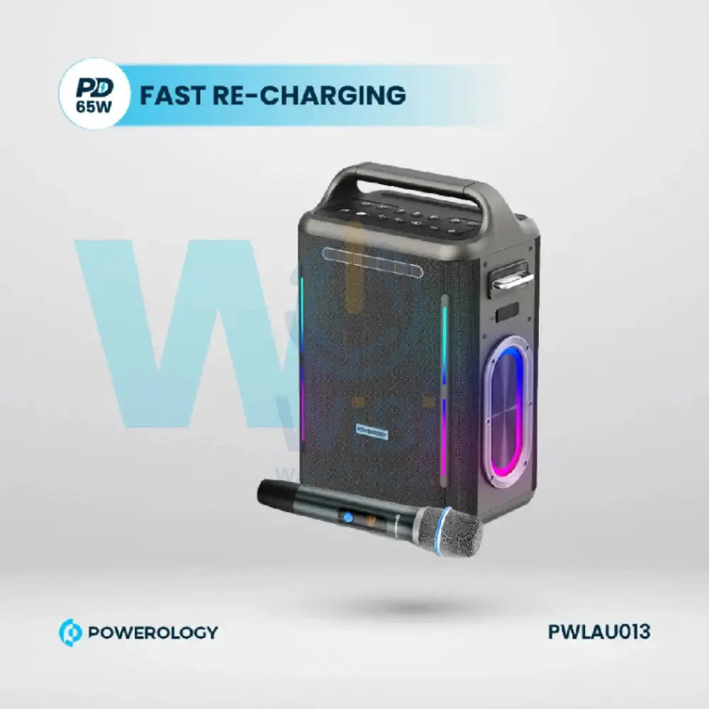 Powerology Karaoke Party Speaker - Bluetooth / Silver Accessories > Audio > Speakers