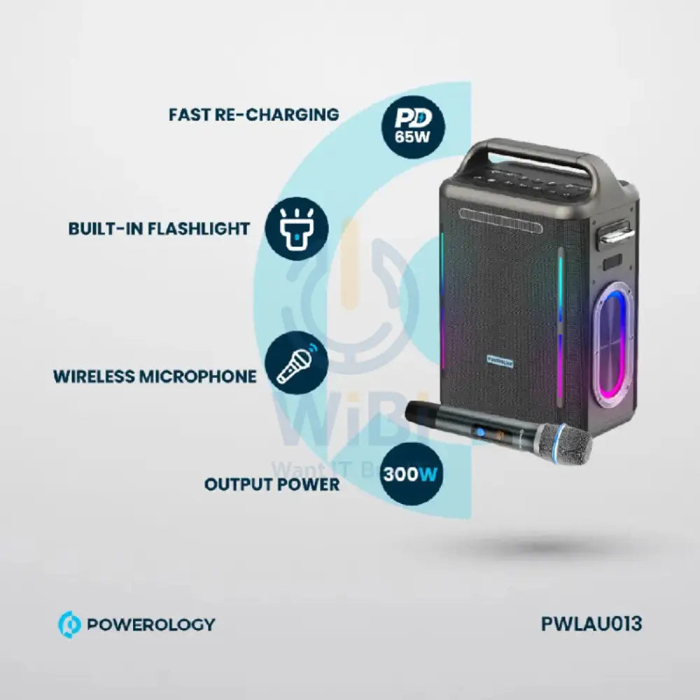 Powerology Karaoke Party Speaker - Bluetooth / Silver Accessories > Audio > Speakers