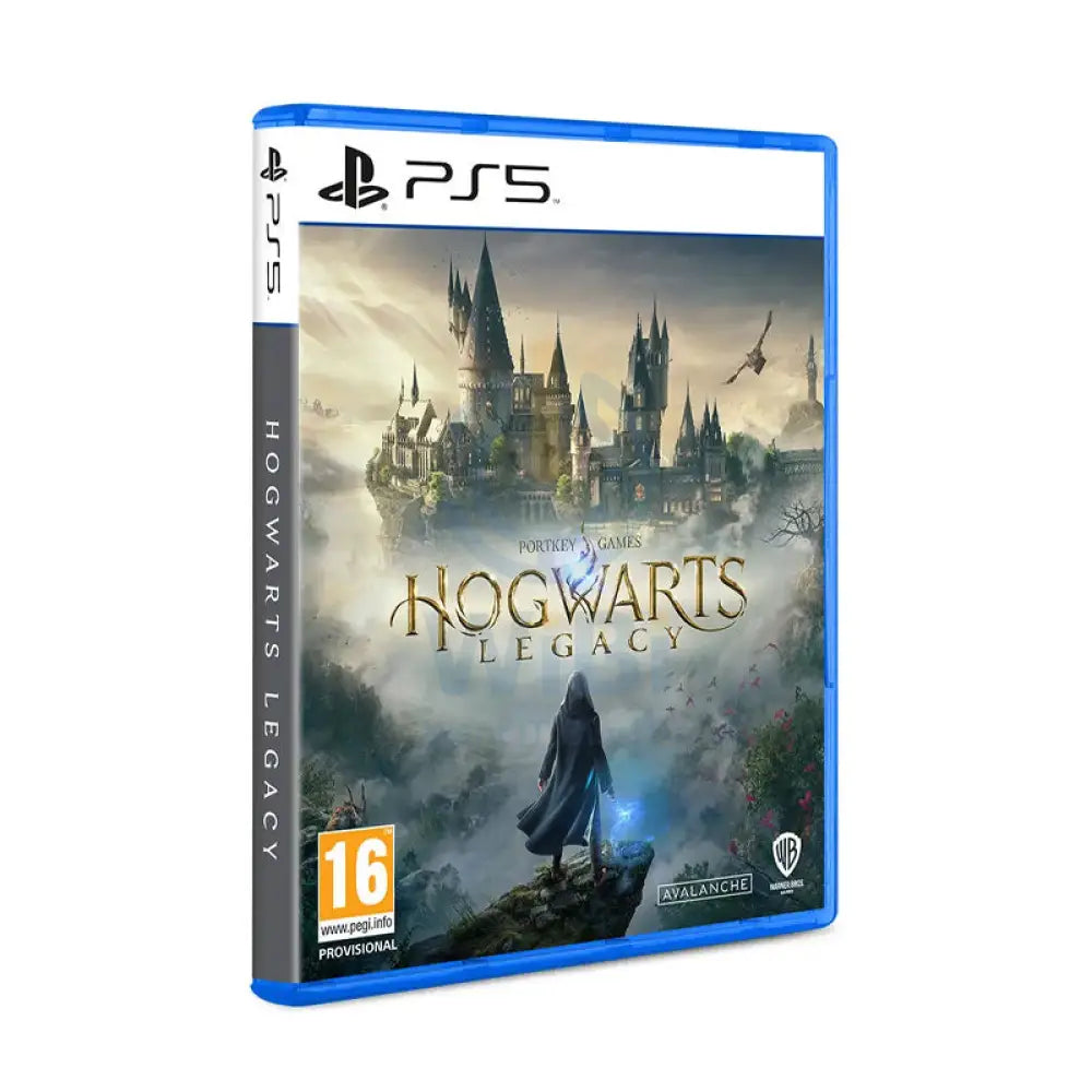 PS5 Hogwarts Legacy Accessories > Other Accessories > Gaming Zone