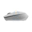 Rapoo M100 Silent Wireless Mouse - 2.4 GHz / 1300 DPI / Bluetooth / USB - Light Grey Accessories > Keyboard & Mouse