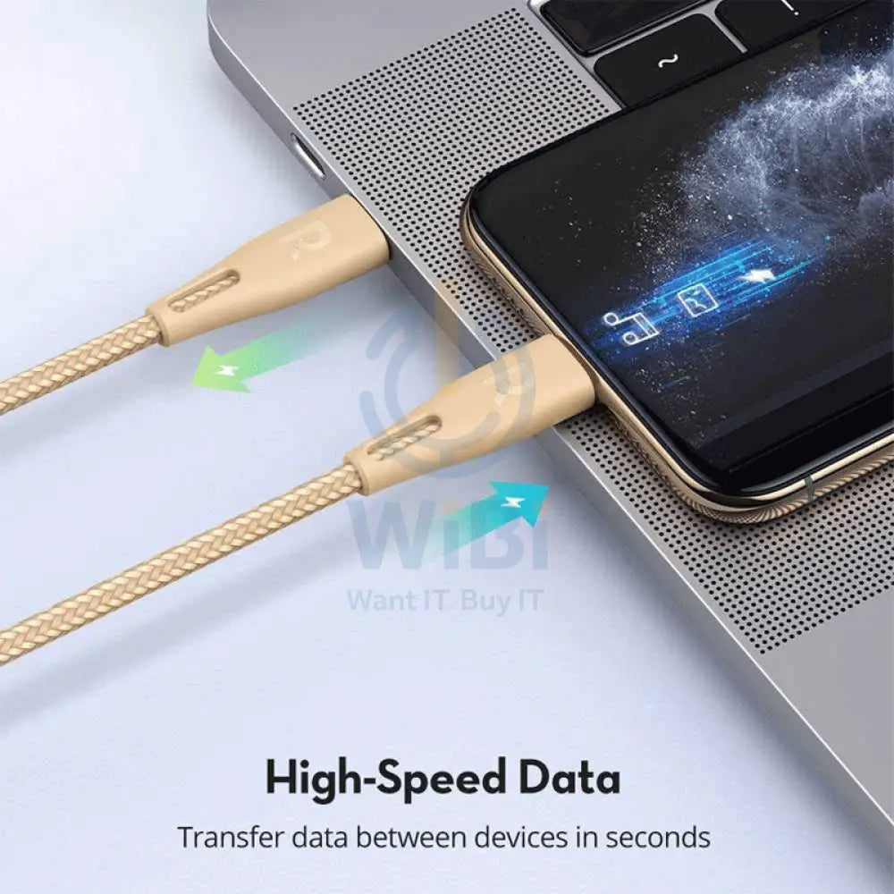 RAVPower Nylon Braided Type-C to Lightning Charging Cable - 0.3 Meter / 1ft / Gold Accessories > Cables & Converters >