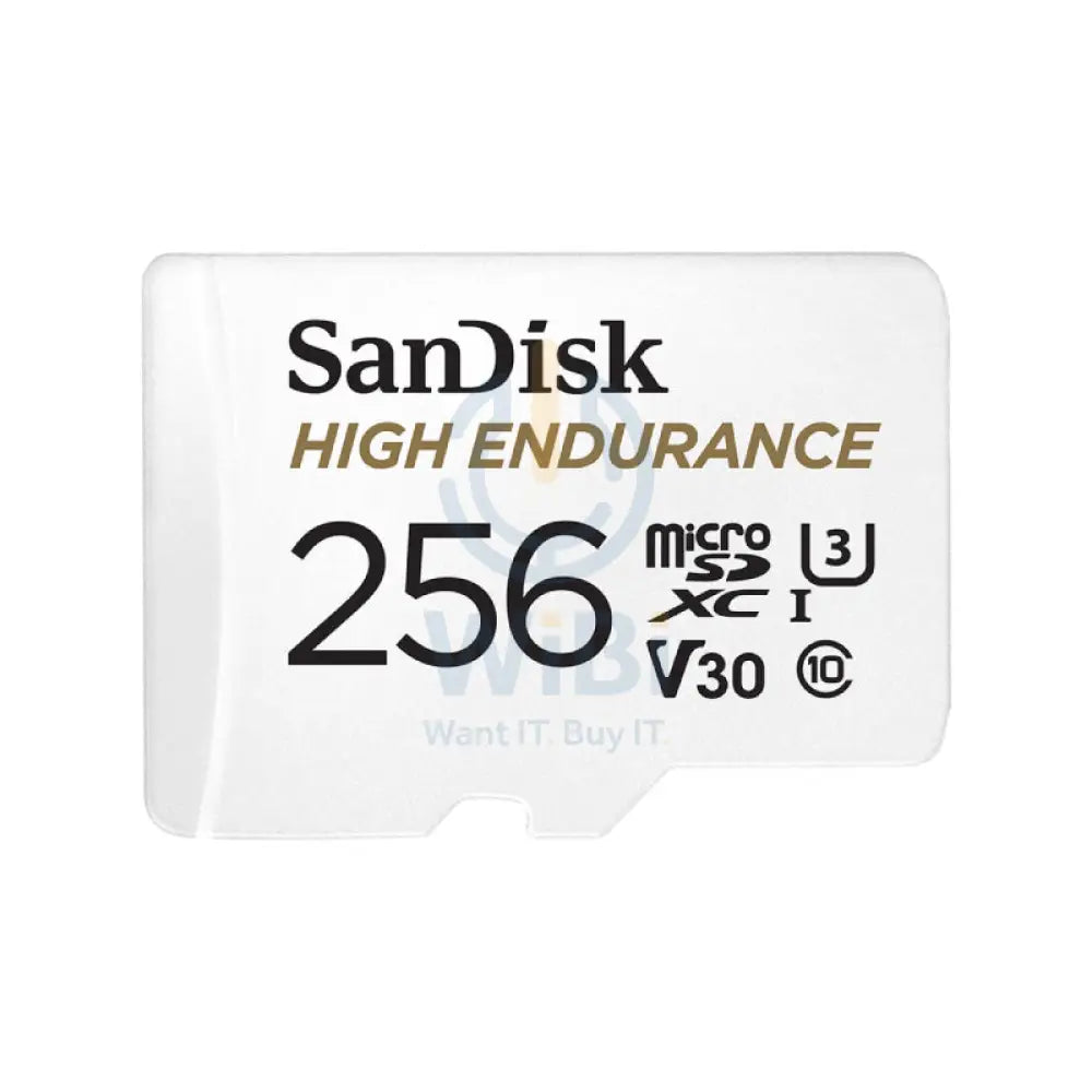 SanDisk High Endurance microSD Card - 256GB / Up to 100MB/s Storage > Memory Cards