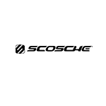 سكوش