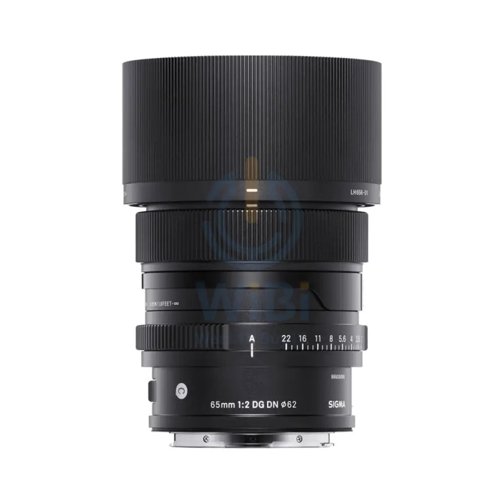 SIGMA 65MM F/2 DG DN (C) F/SE Cameras > DSLR Camera Lens