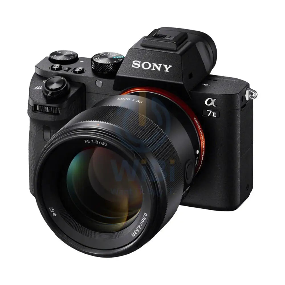 Sony E 85mm f/1.8 Telephoto Prime Lens - Full Frame / 67 mm Filter - Black Cameras > DSLR Camera Lens
