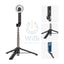 TELESIN Magnetic Bluetooth Selfie Stick - Black Accessories > Mobiles & Tablets > Mobiles > Mobile Holder / Stands